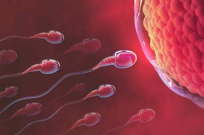 Mitos y realidades sobre la fertilidad
