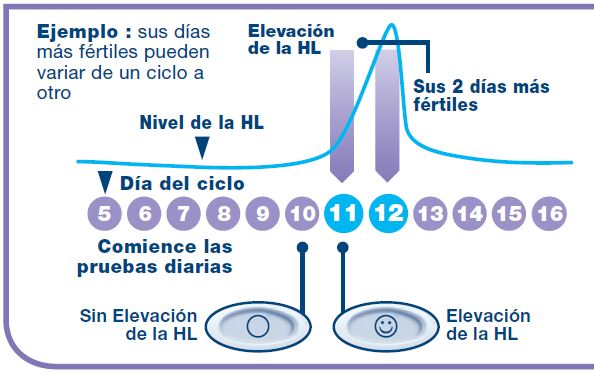 Antes de la prueba
